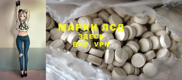 гидра Аркадак
